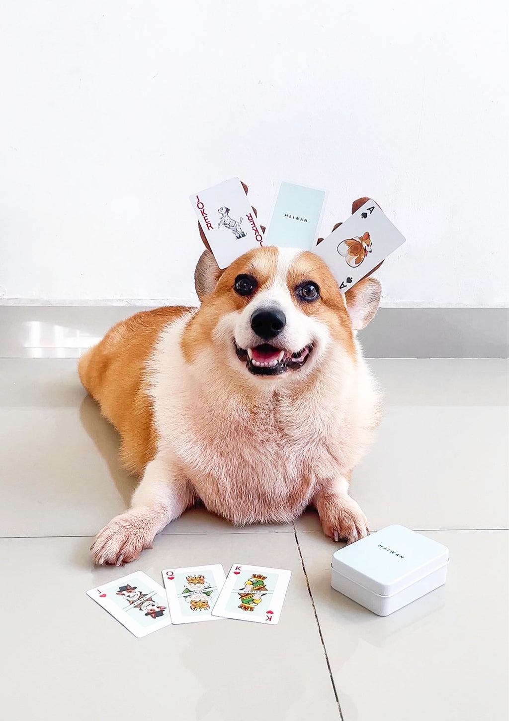 Haiwan Playing Cards