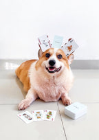 Haiwan Playing Cards
