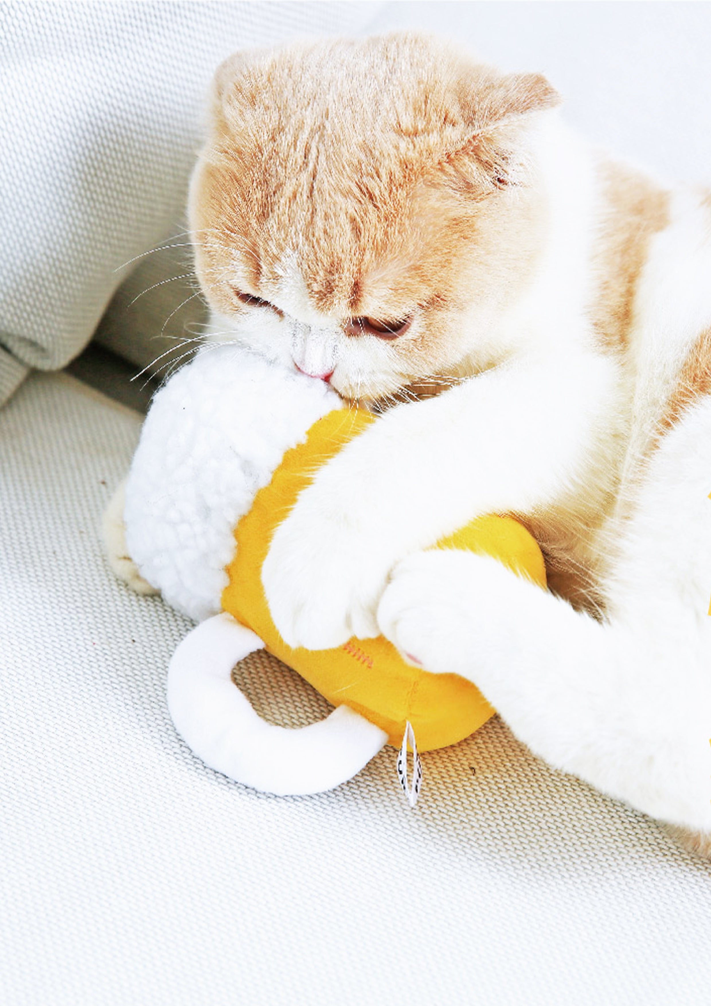 Beer Catnip Toy