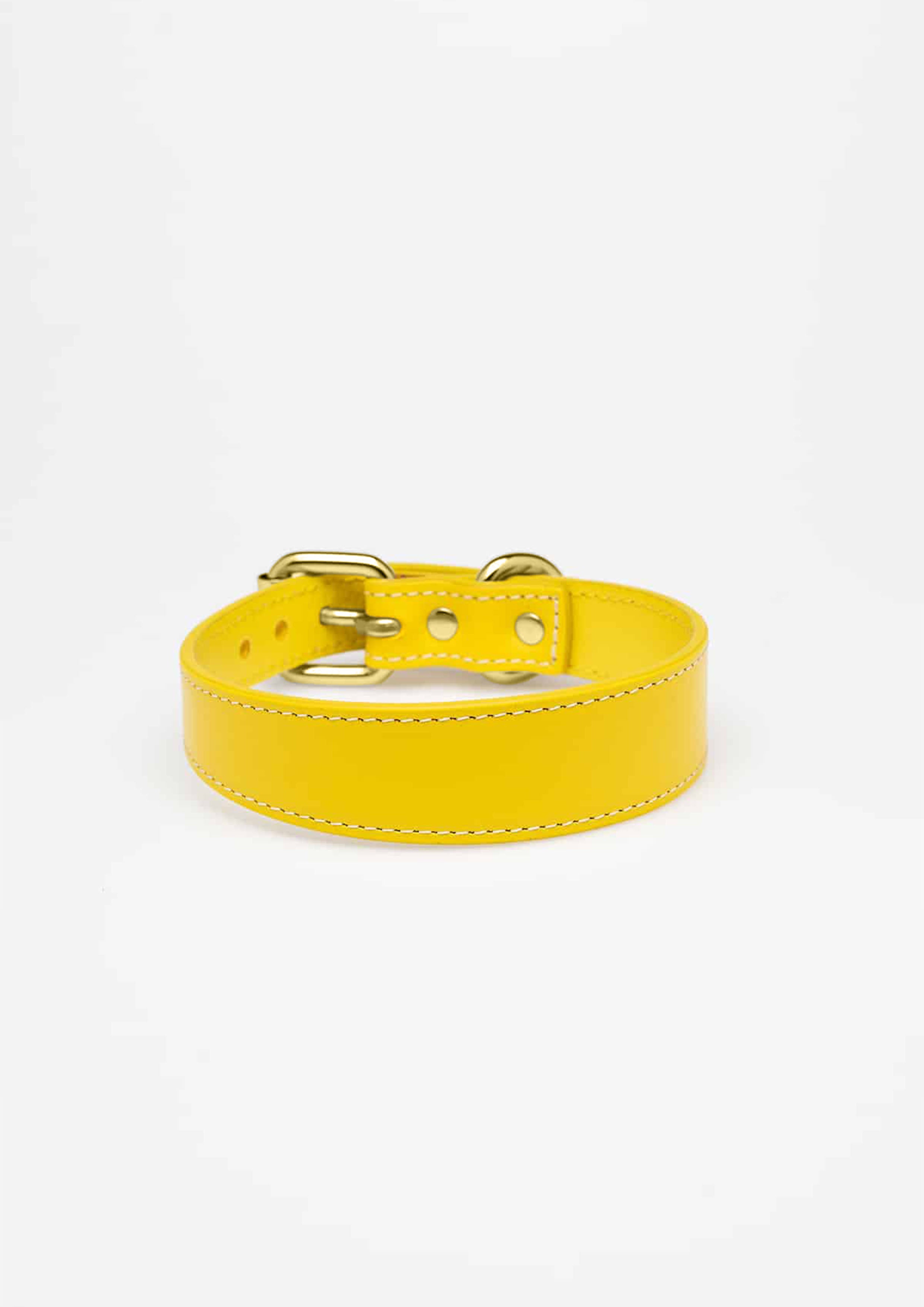 Yellow Thin Leather Collar