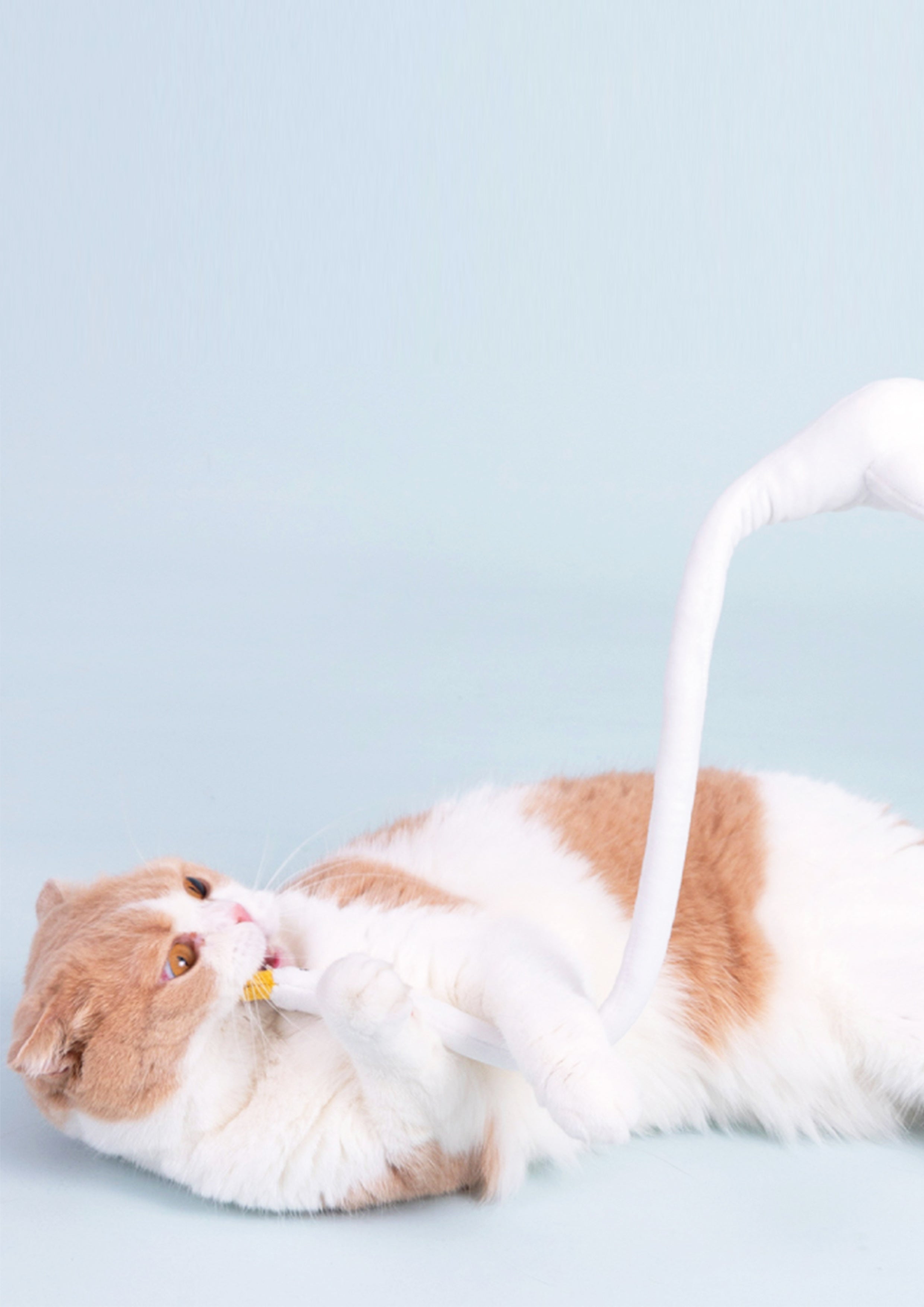 Goose Cat Teaser with Catnip