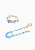 CURIO Collar & Leash Set (Blue)