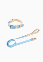 CURIO Collar & Leash Set (Blue)