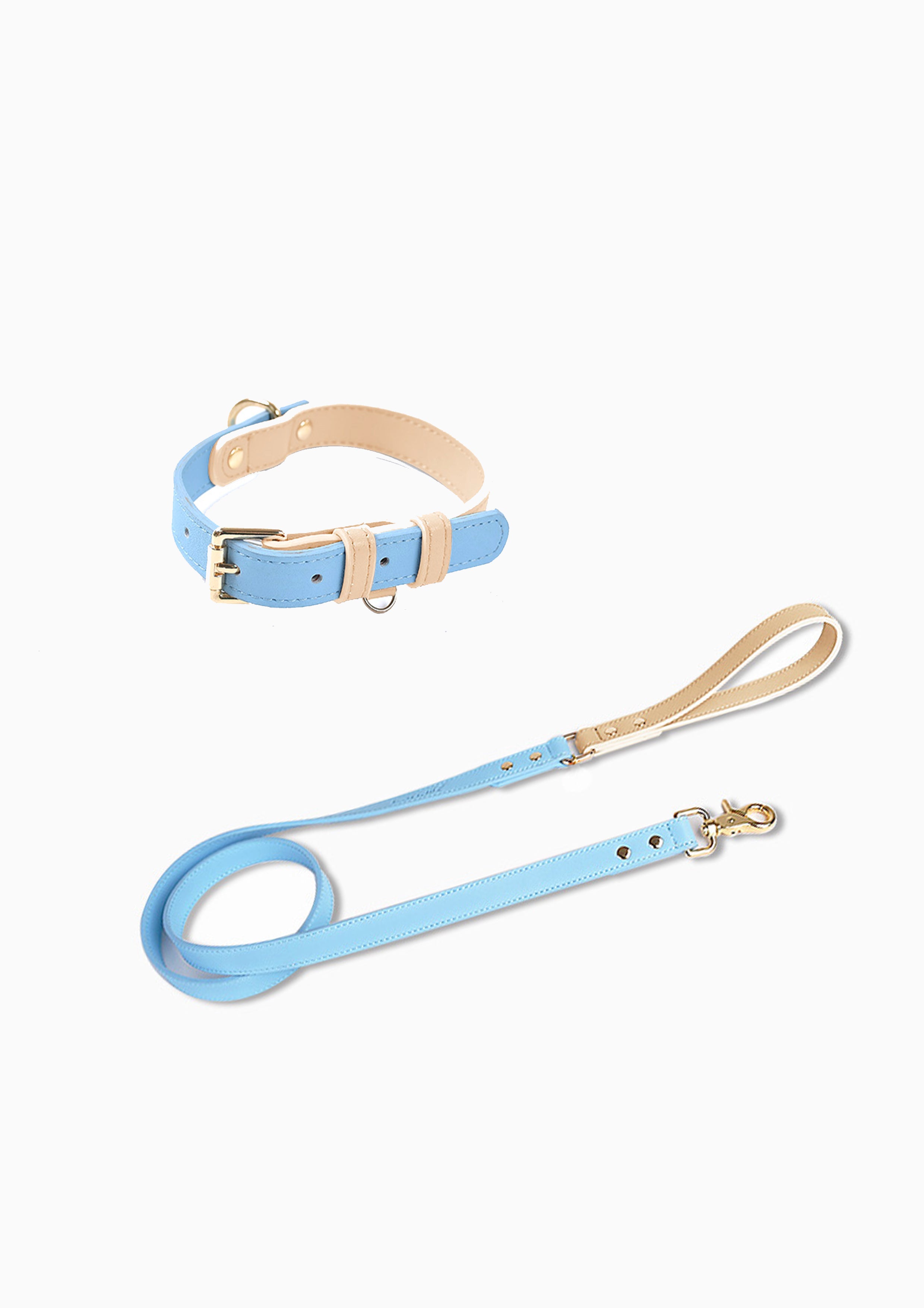 CURIO Collar & Leash Set (Blue)