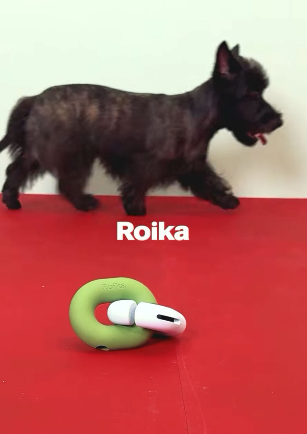 Gori (Olive Green)