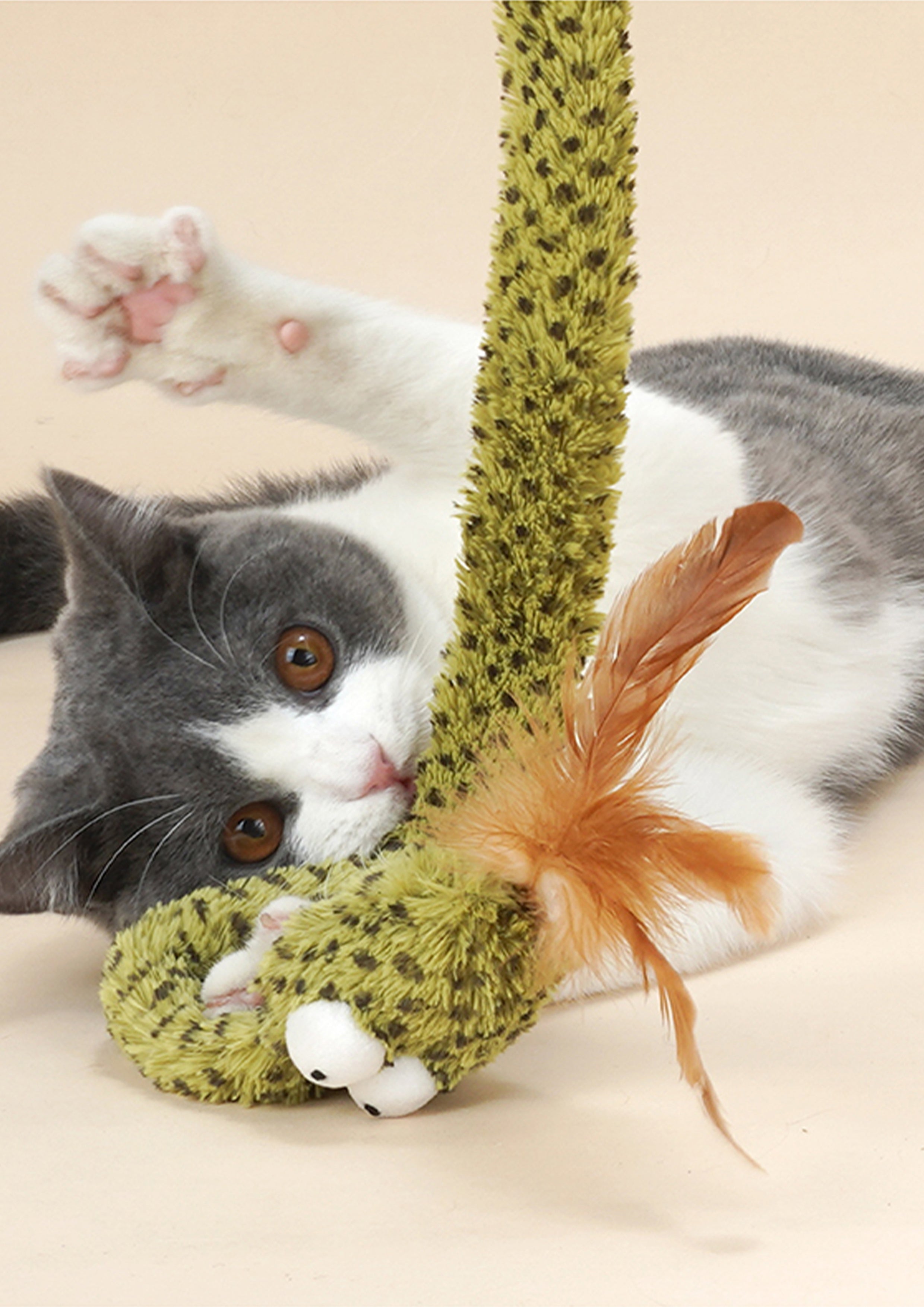 Rattlesnake Cat Teaser with Crinkle