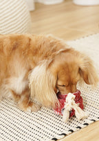 LOLLIPOP Snuffle