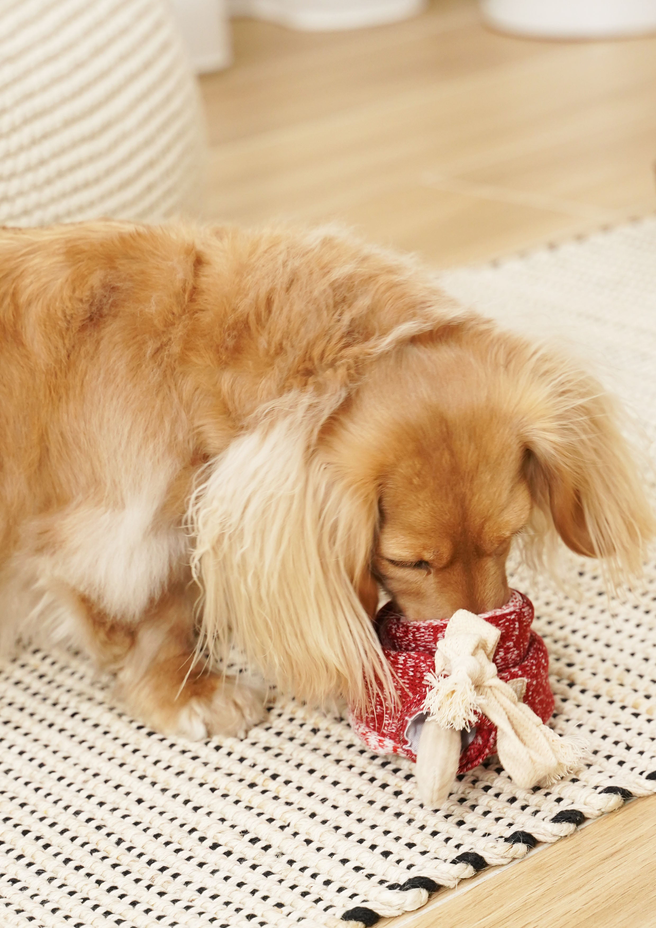 LOLLIPOP Snuffle