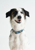 BUTTERO Leather Collar
