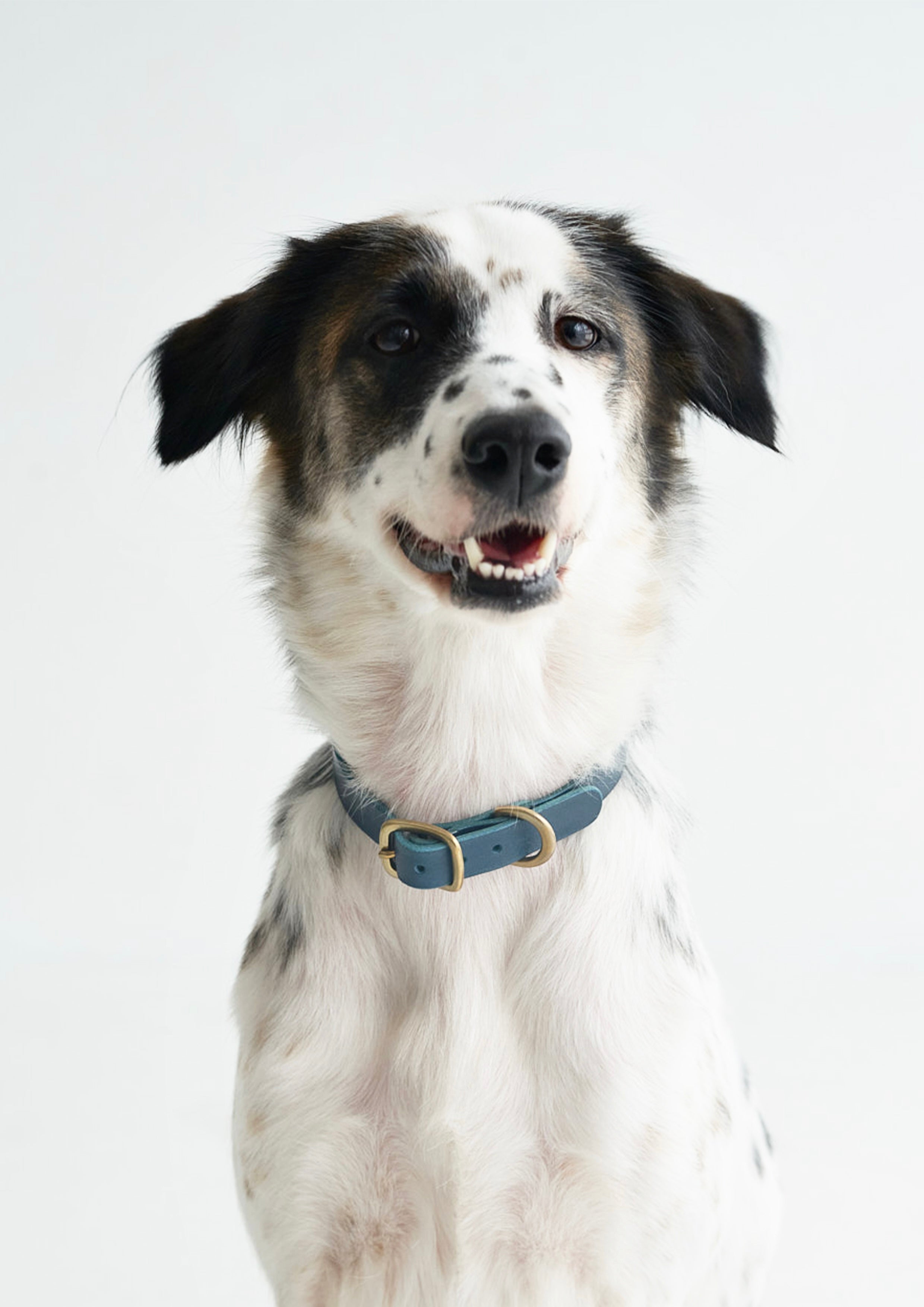 BUTTERO Leather Collar