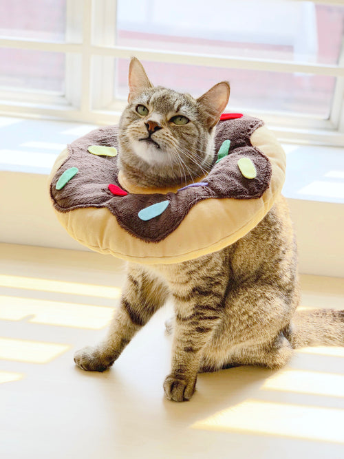 Chocolate Donut Cone