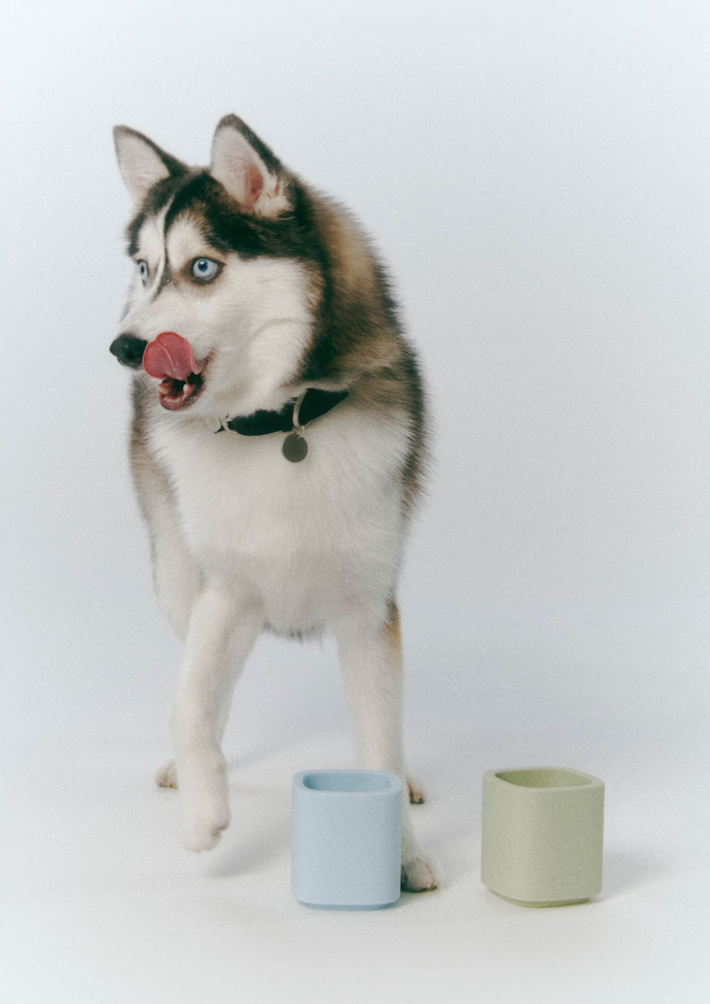 Togi (Glacier Blue)