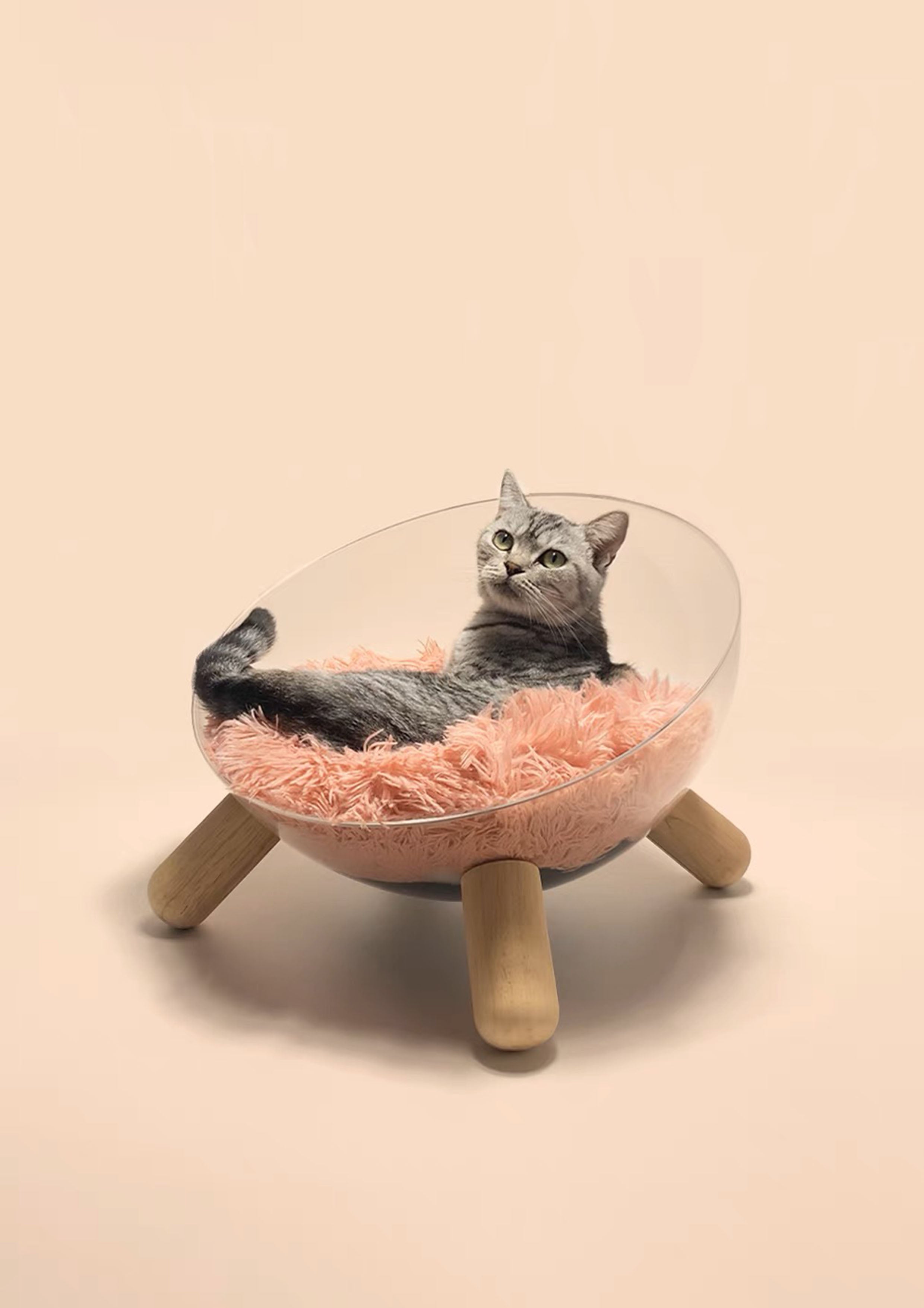 Bowl Bed