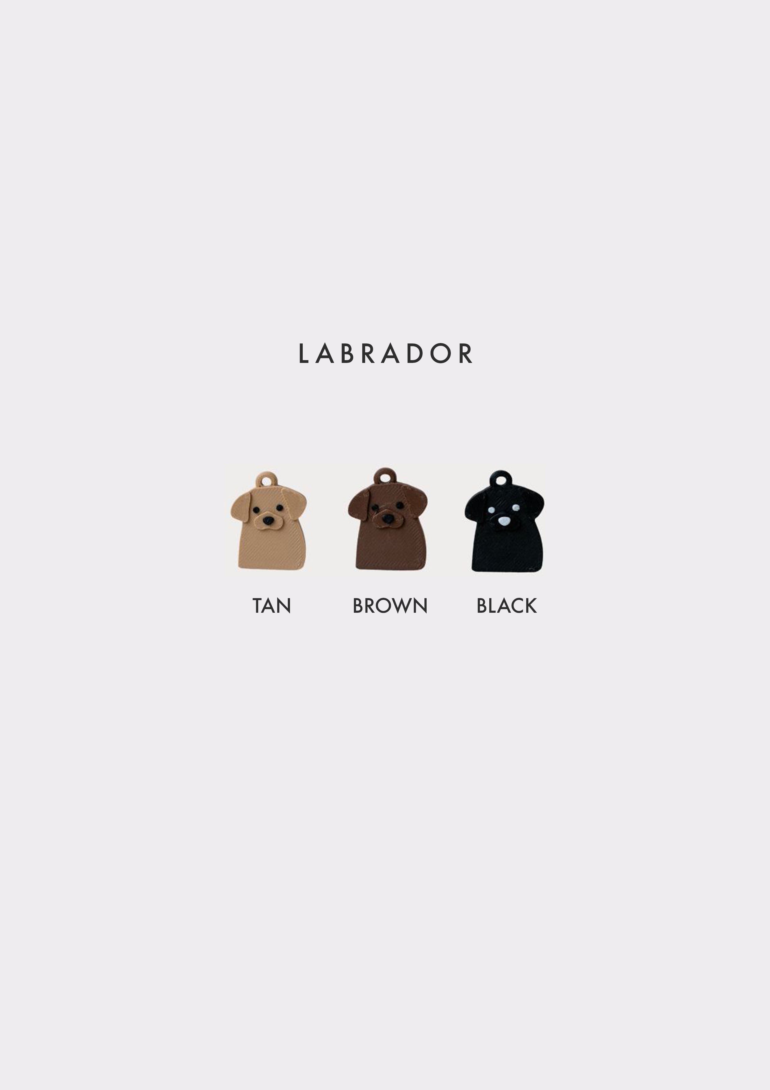 Labrador Prosopa Charm