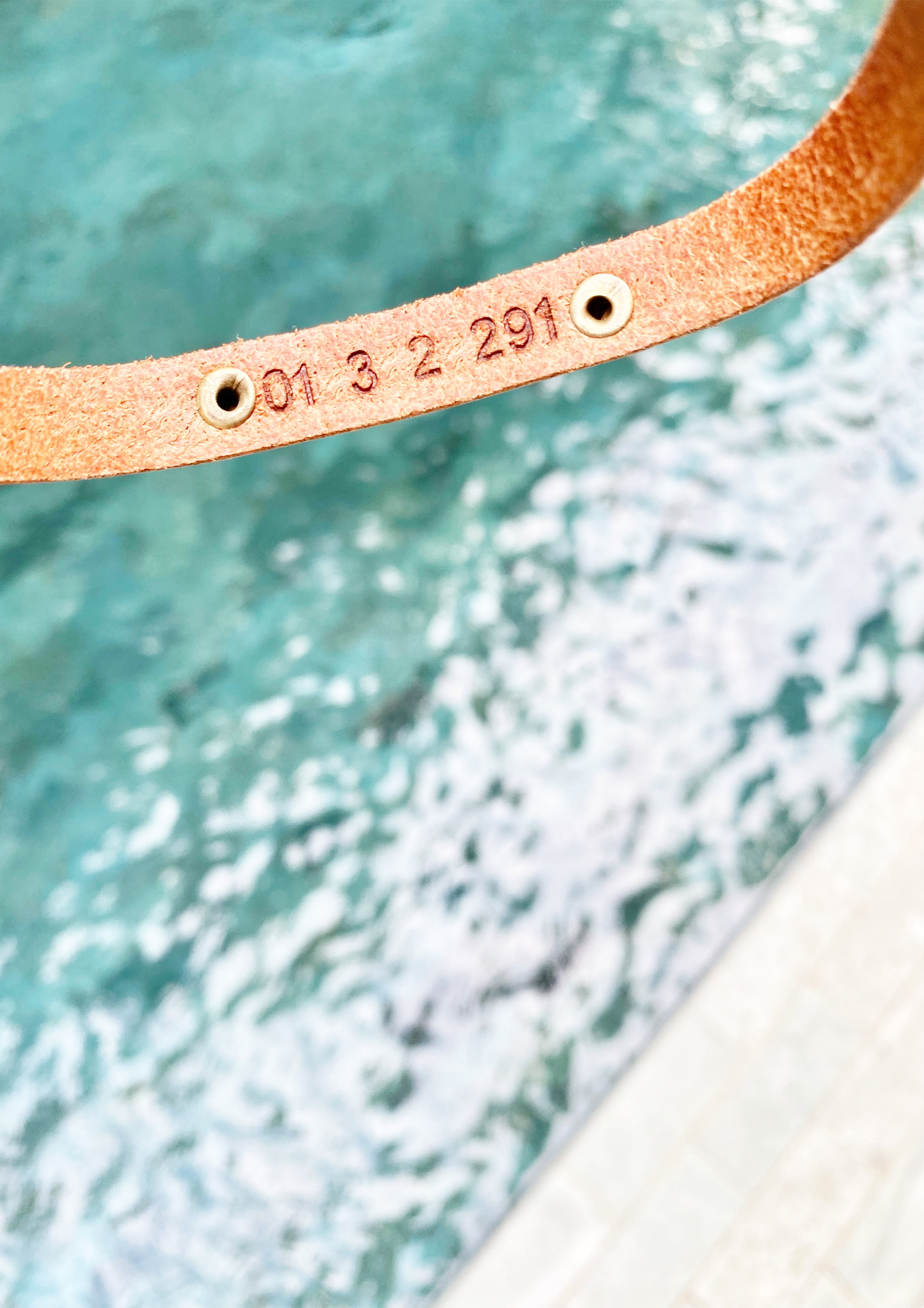Custom Leather Collar