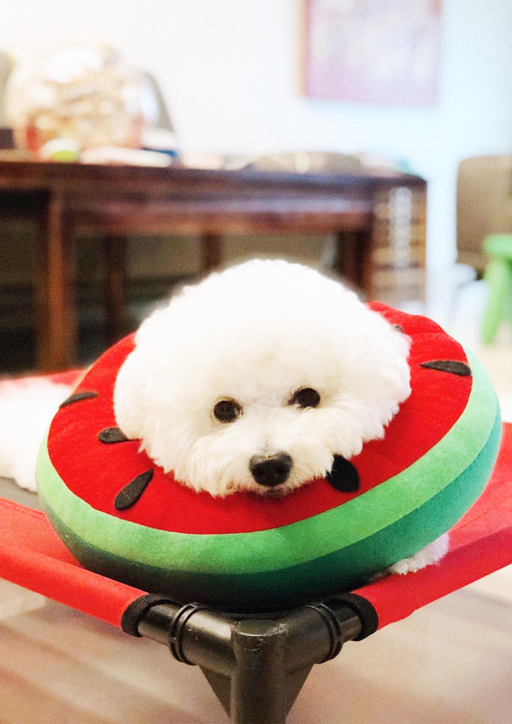 Watermelon Cone
