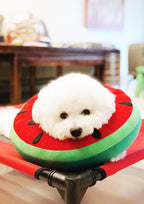 Watermelon Cone