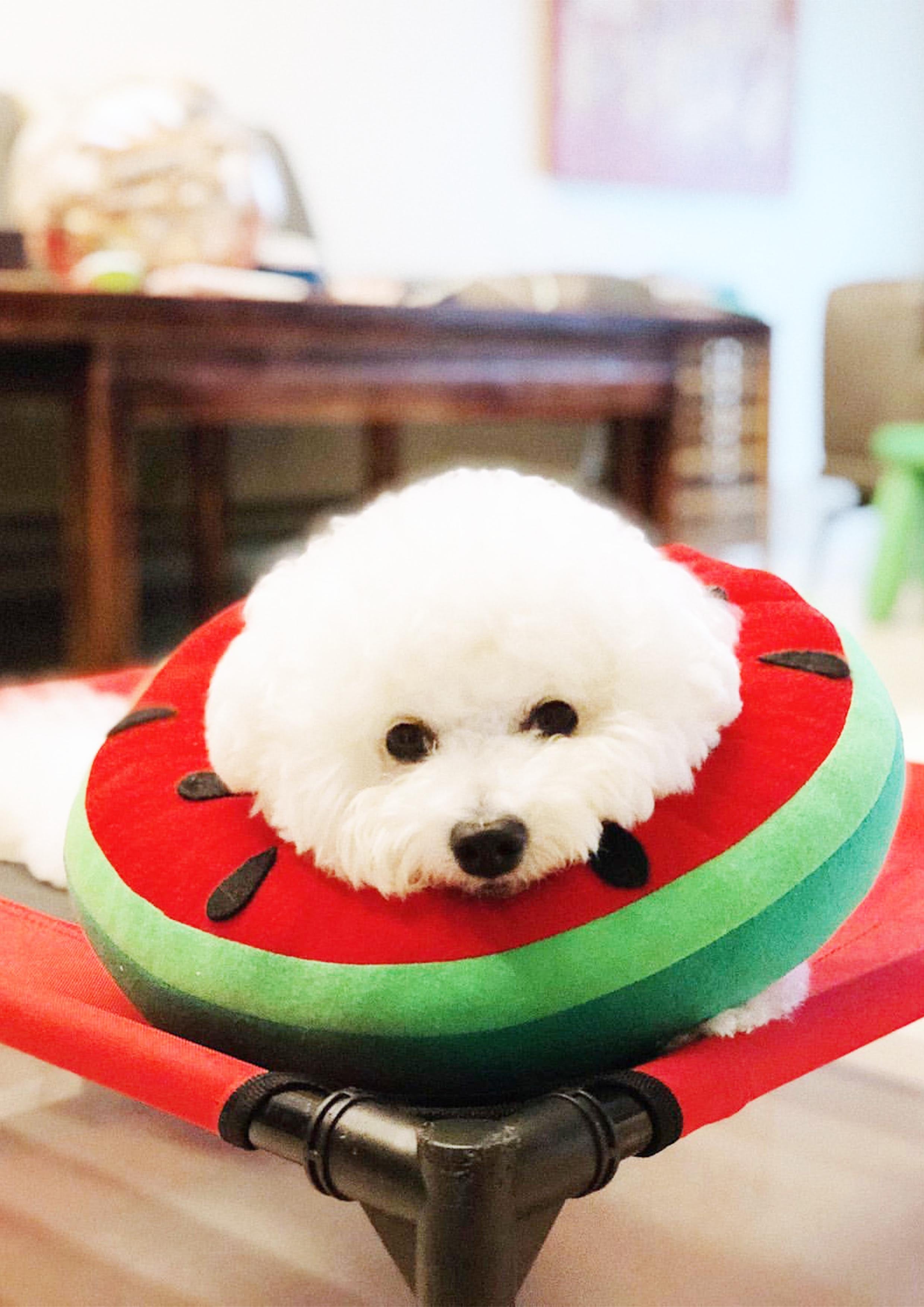 Watermelon Cone