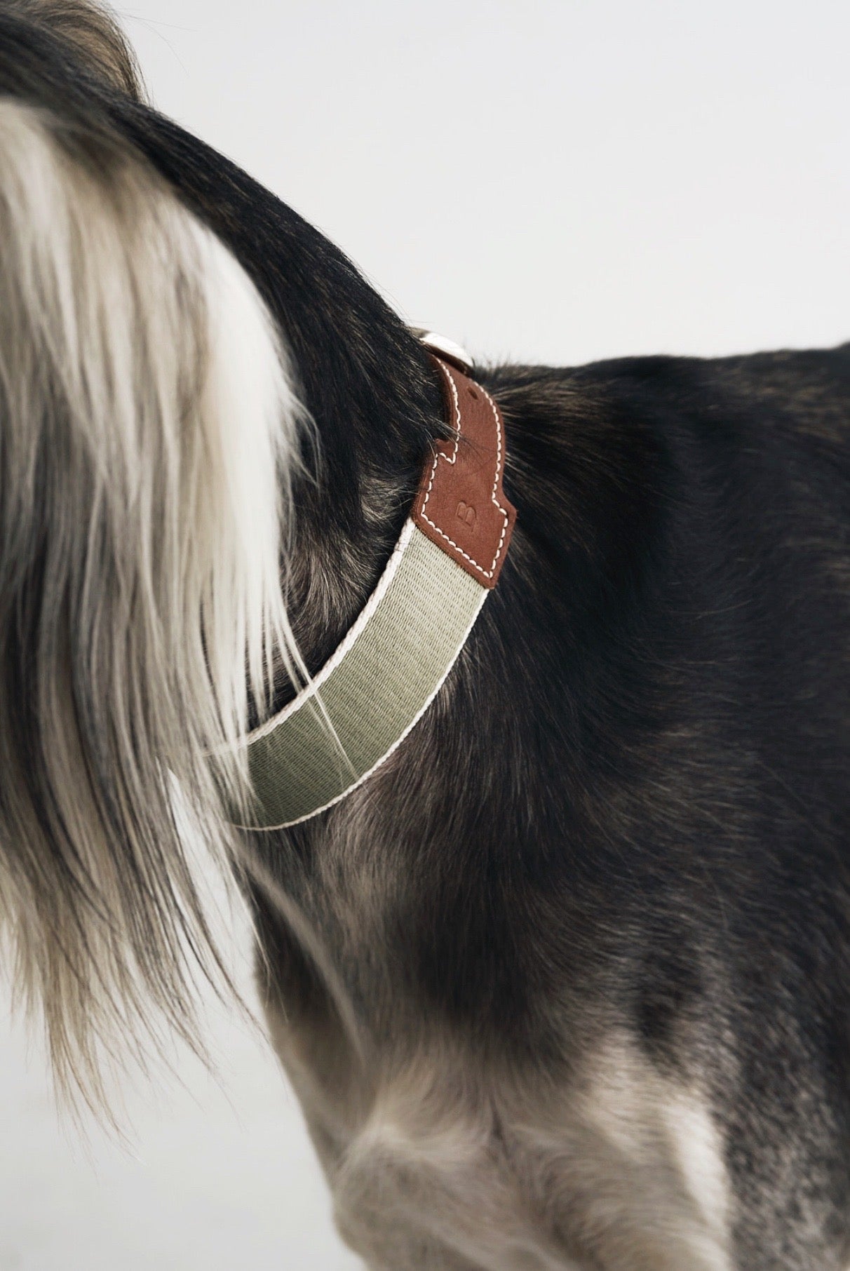 BREIT Collar
