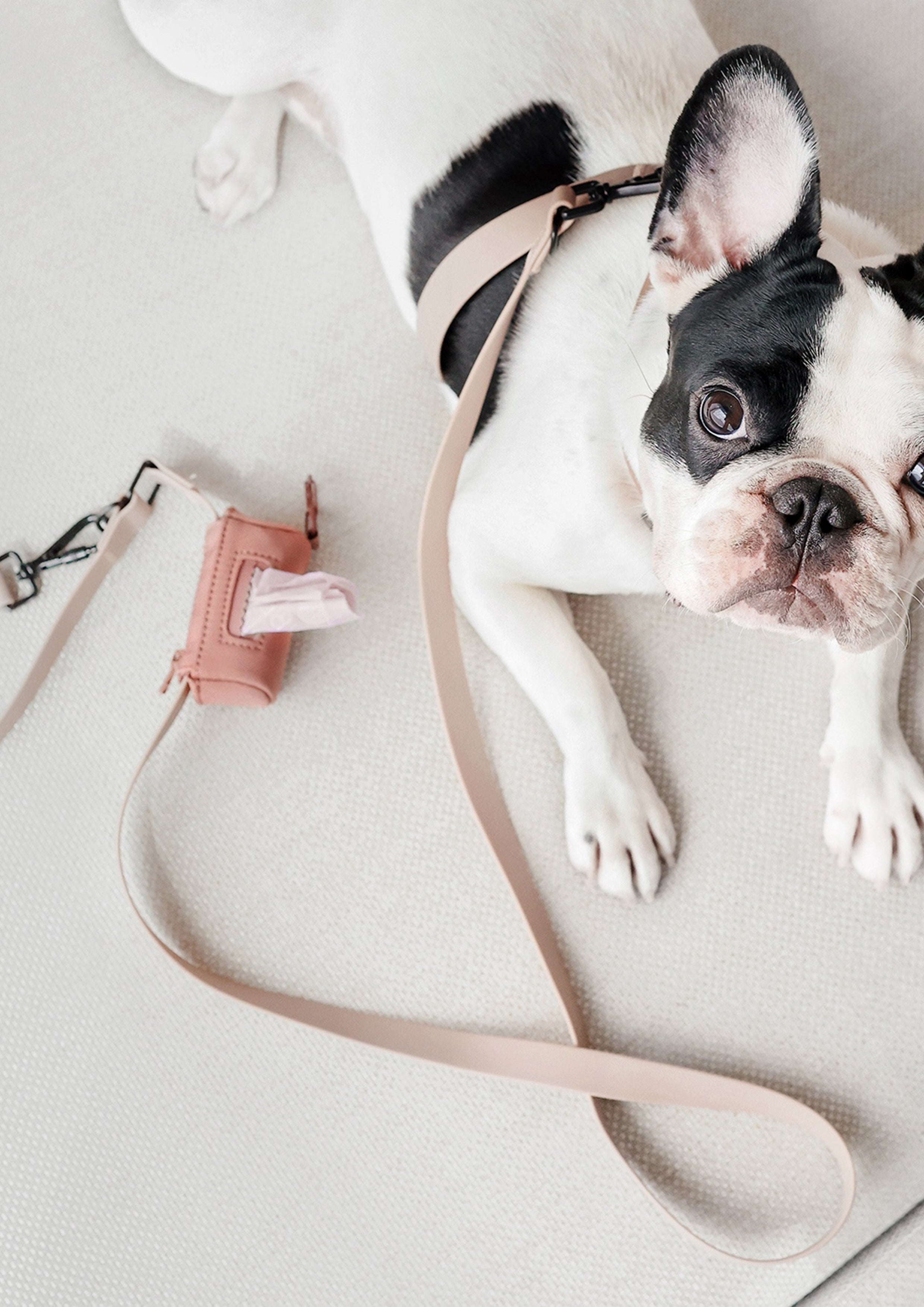 MEMO No-dangle Poop Bag Holder