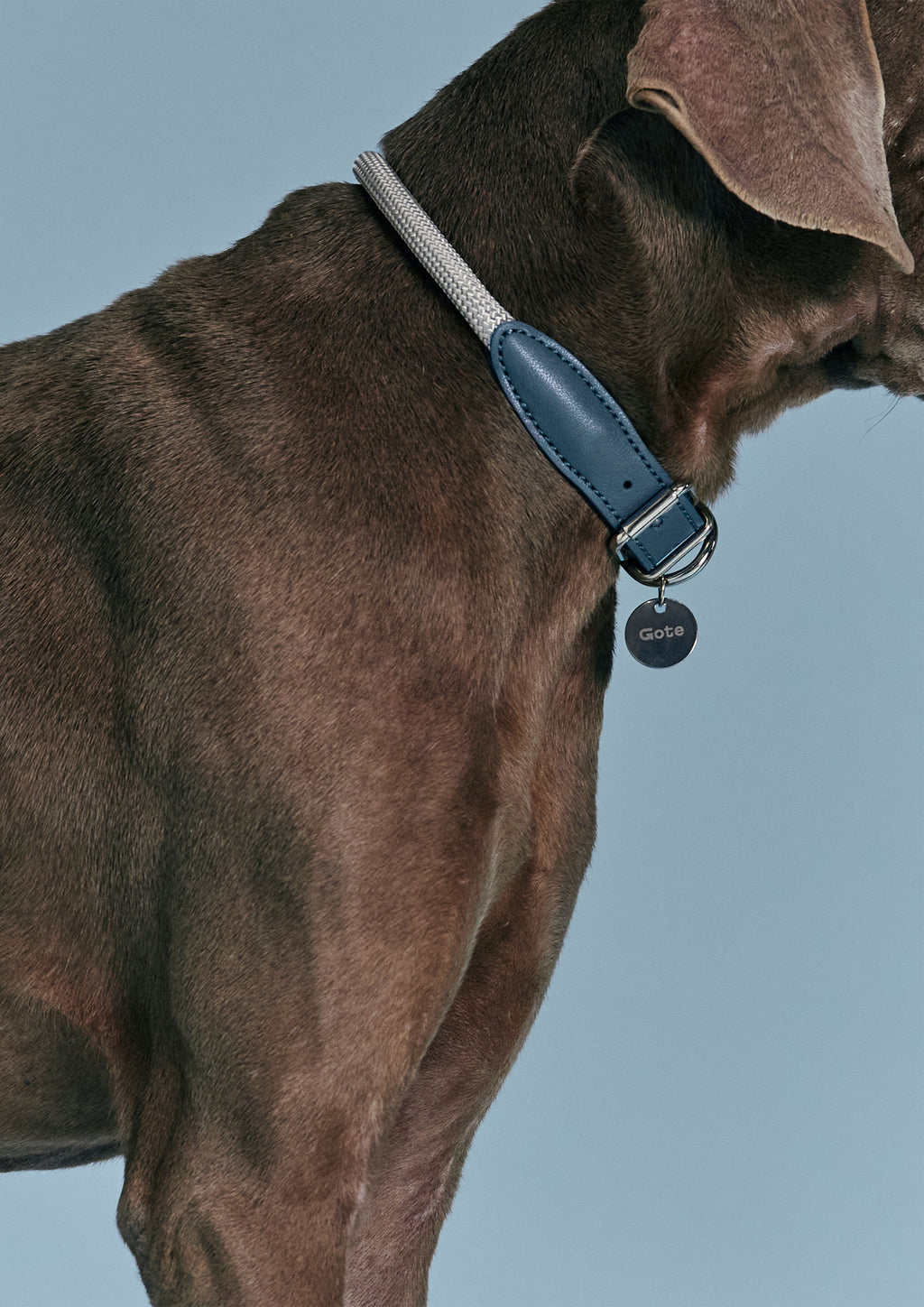 Gotefriend Collar