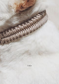 FOSSIL Paracord Collar