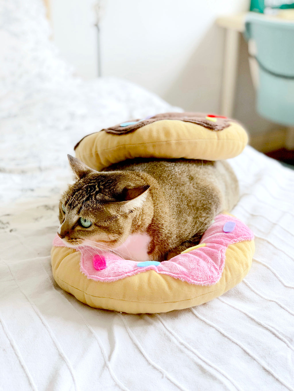 Pink Donut Cone