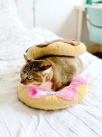 Pink Donut Cone
