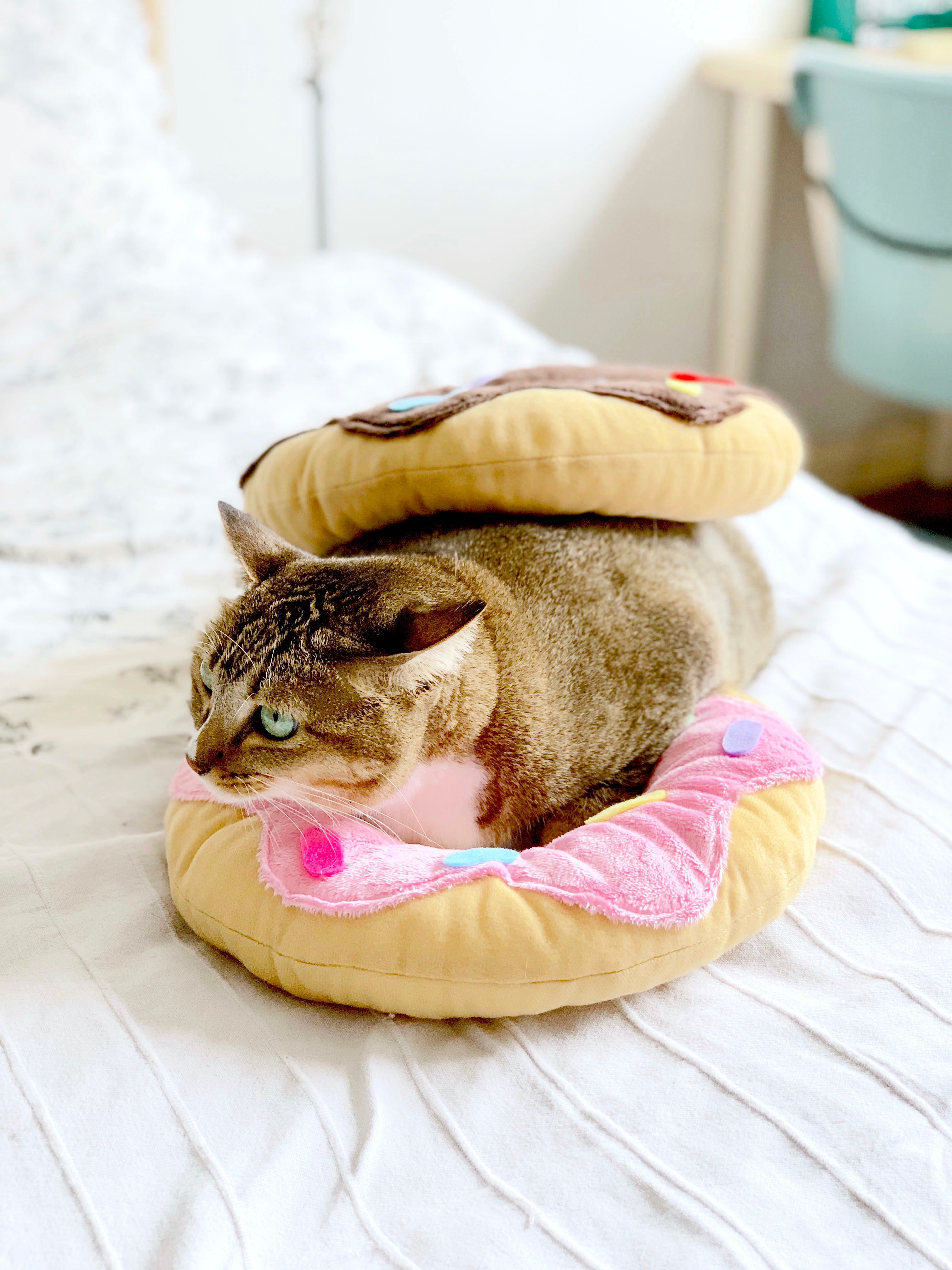 Pink Donut Cone