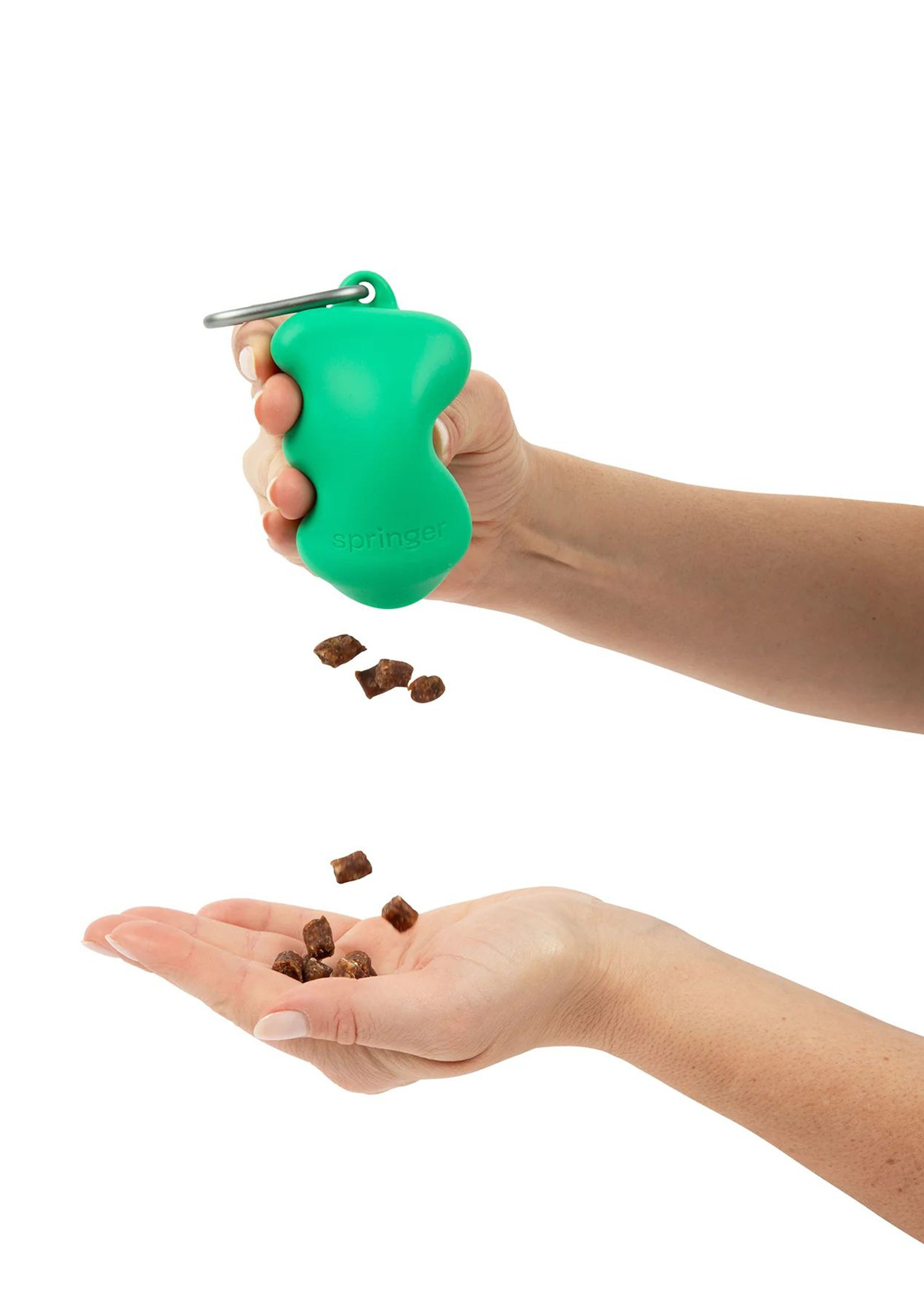 Silicone Dog Treat Dispenser (Springer Green)