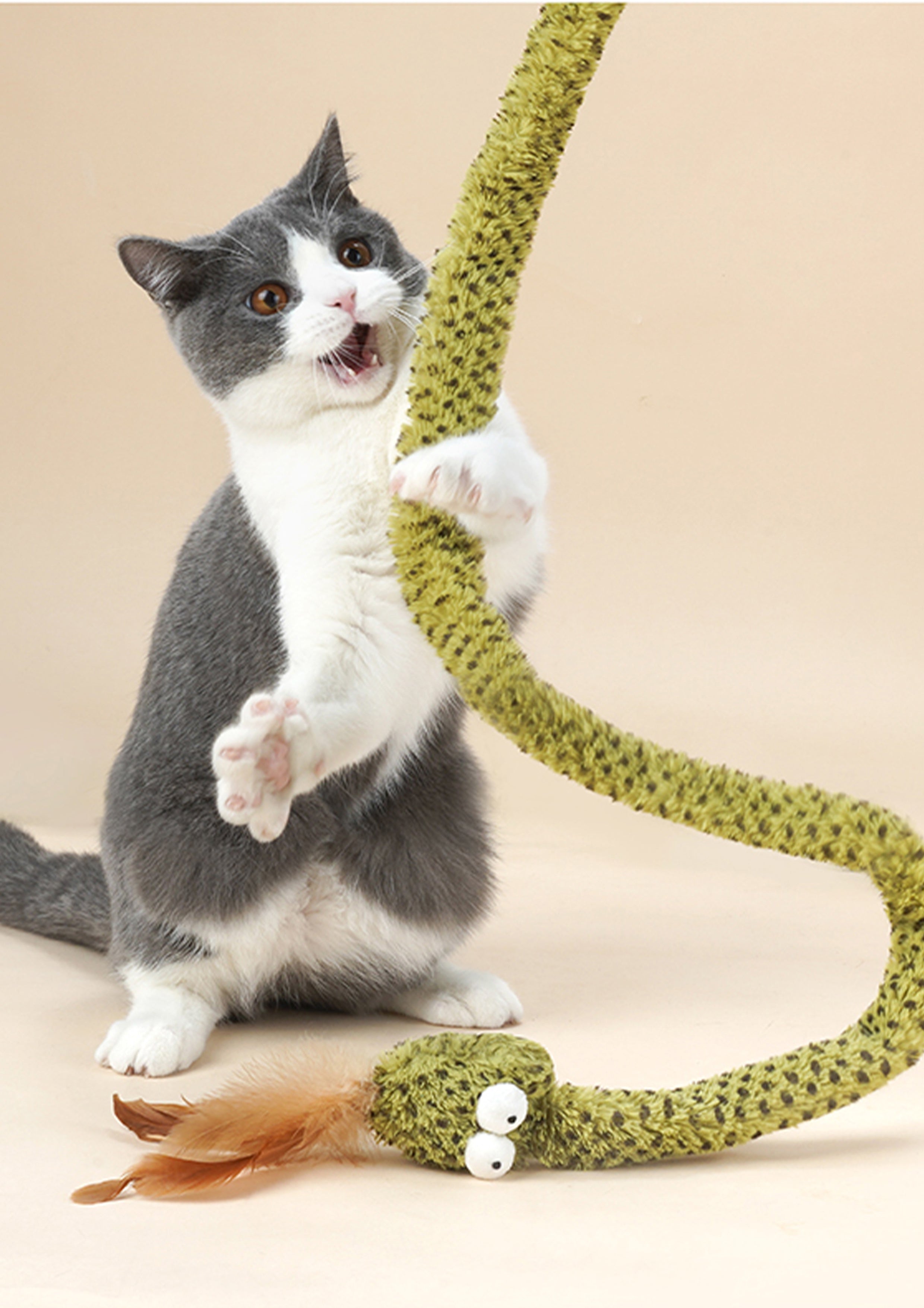 Rattlesnake Cat Teaser with Crinkle