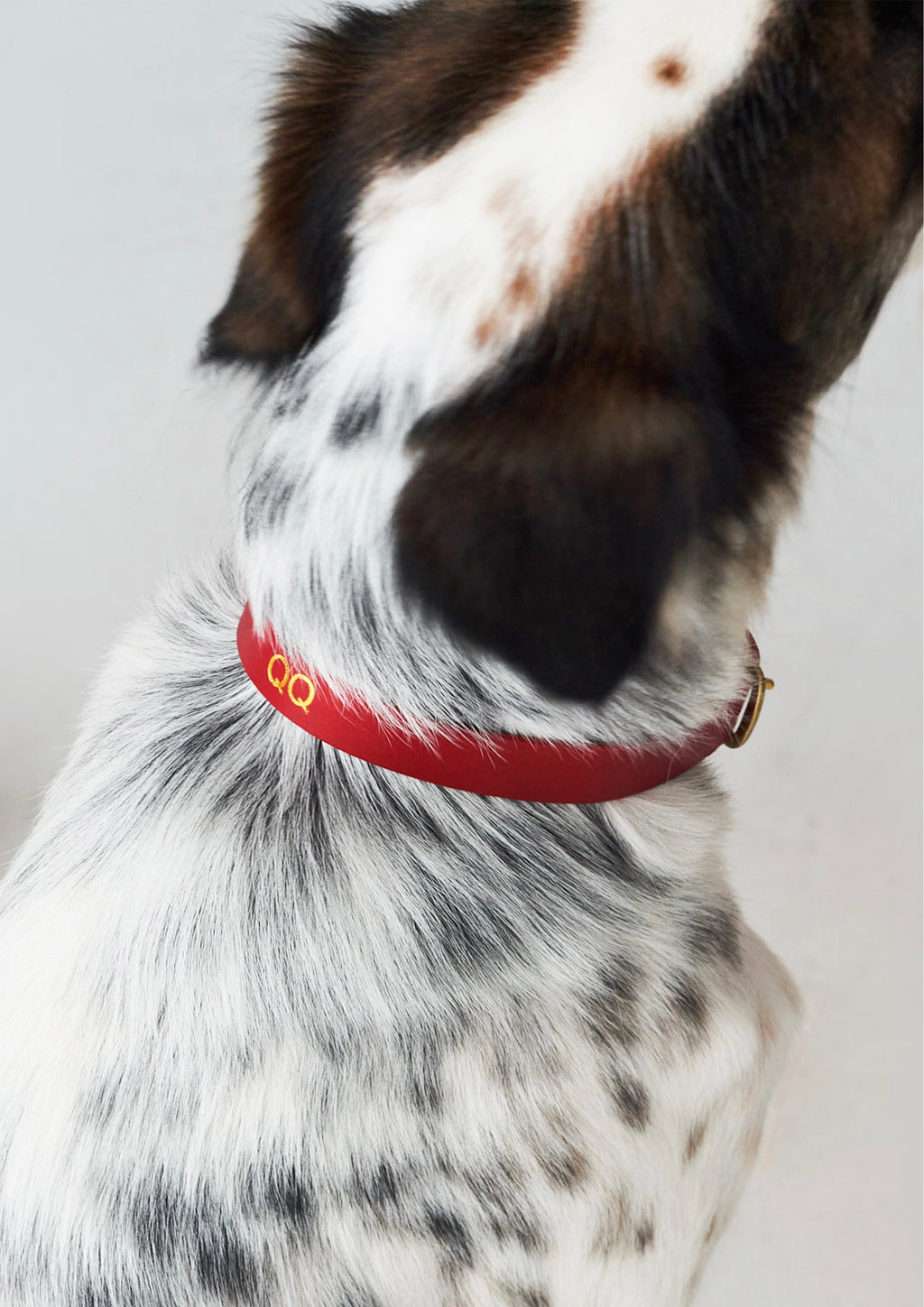 BUTTERO Leather Collar