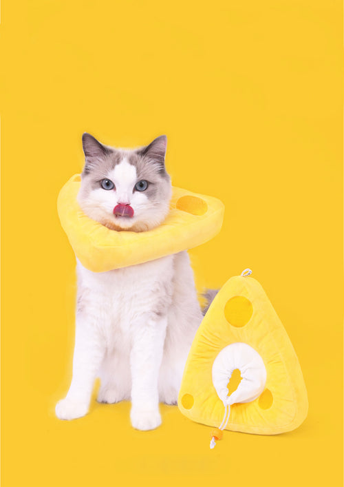 Cheese Cone
