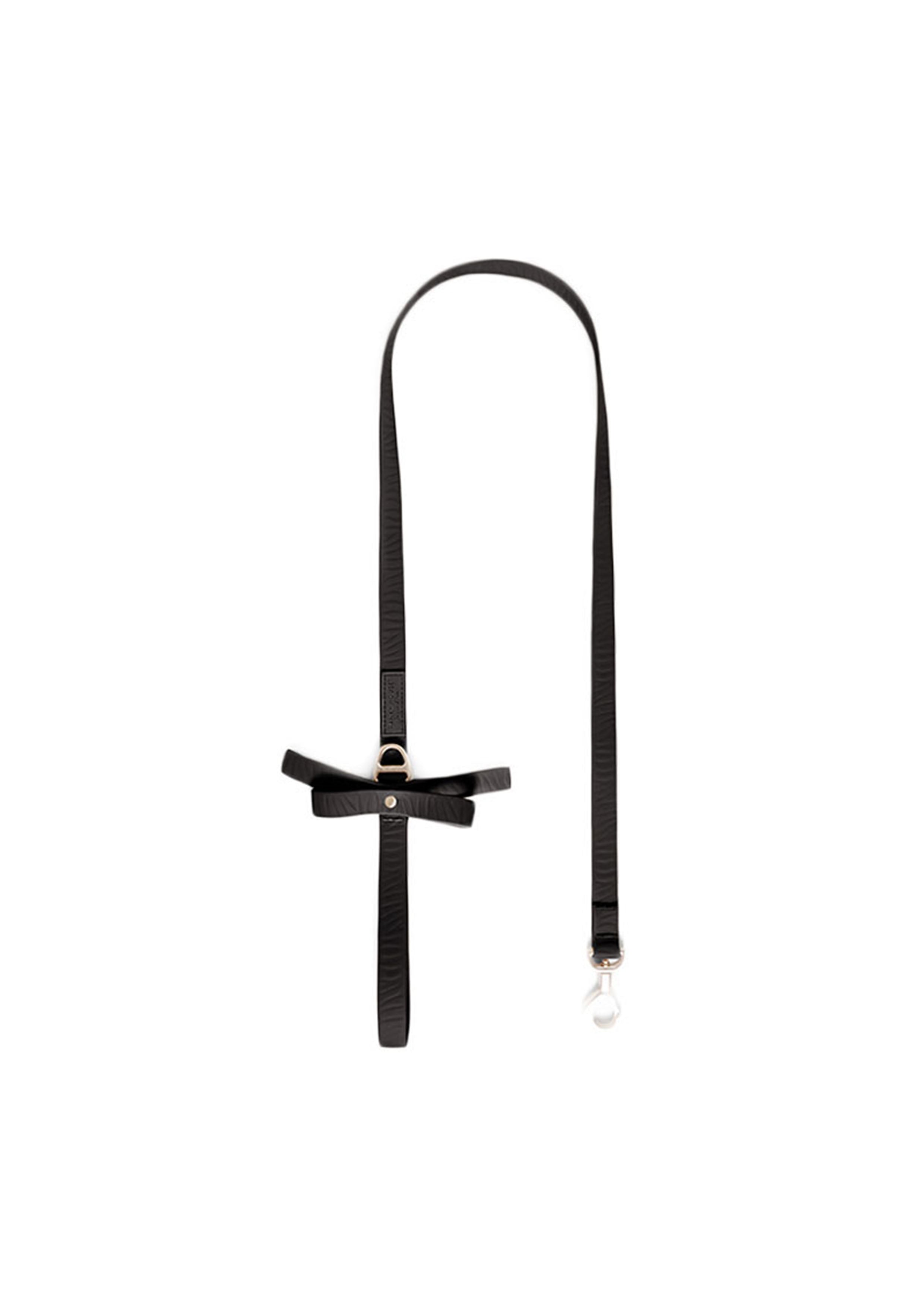 Kane Waterproof Leash