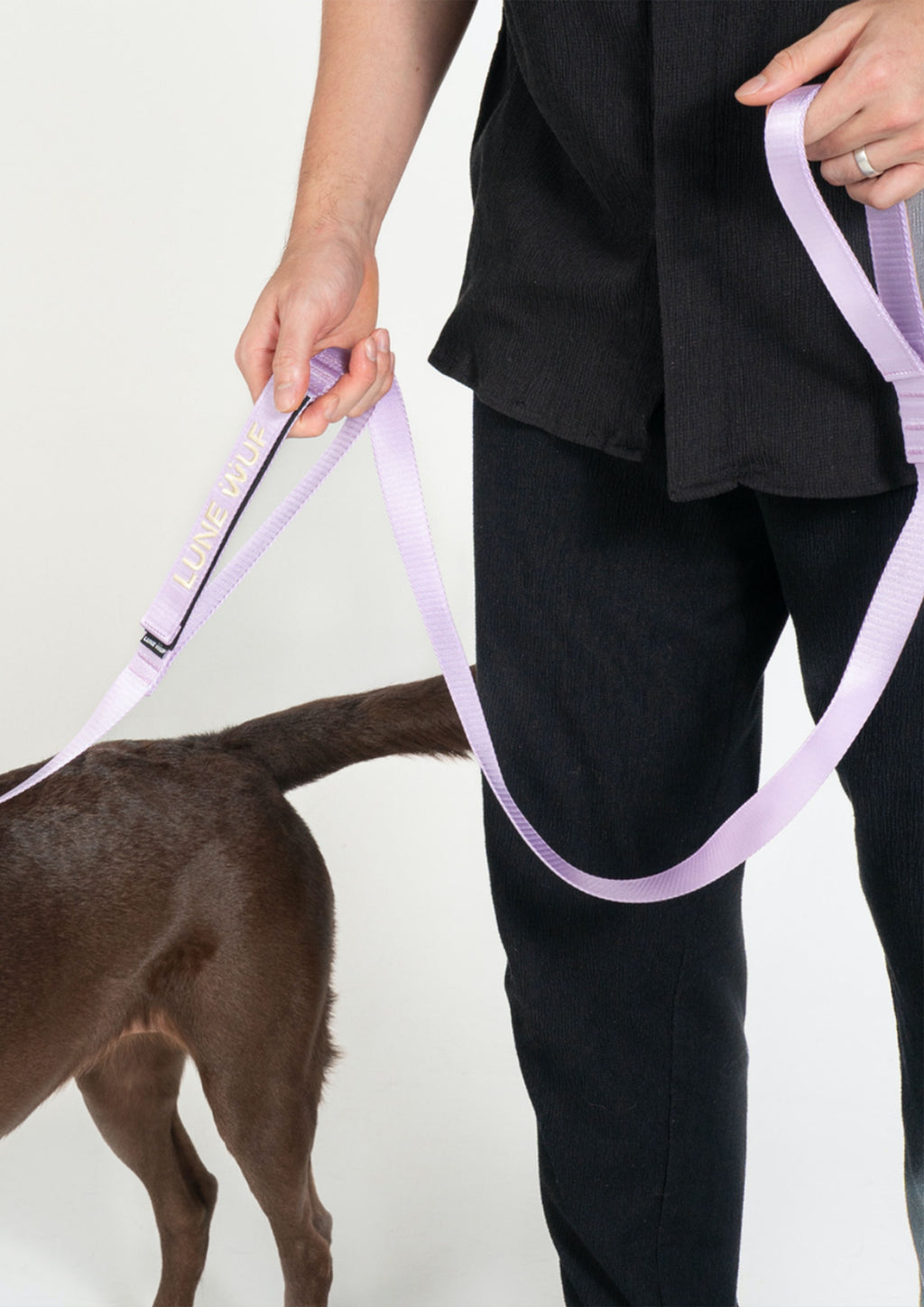 Plus Leash (Orchid Lilac)