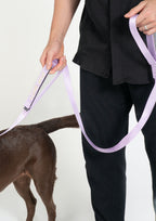 Plus Leash (Orchid Lilac)