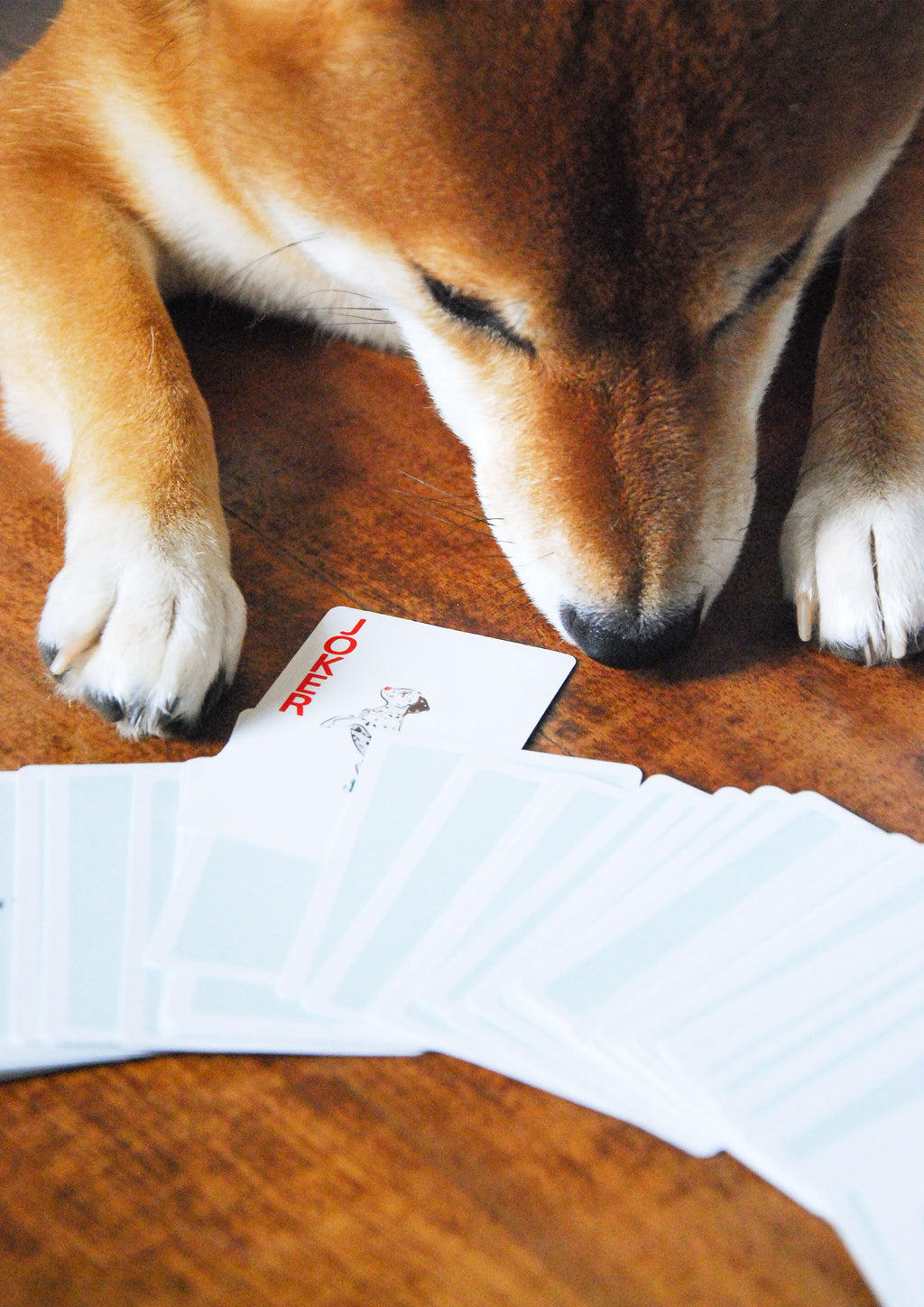 Haiwan Playing Cards