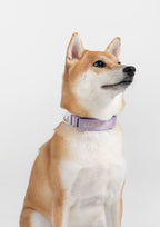 Everyday Collar (Orchid Lilac)