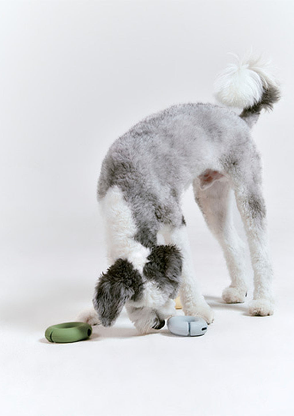 Gori (Misty Blue)
