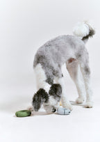 Gori (Misty Blue)