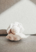 Oyster POP Bouncy + Squeaky + Crinkly