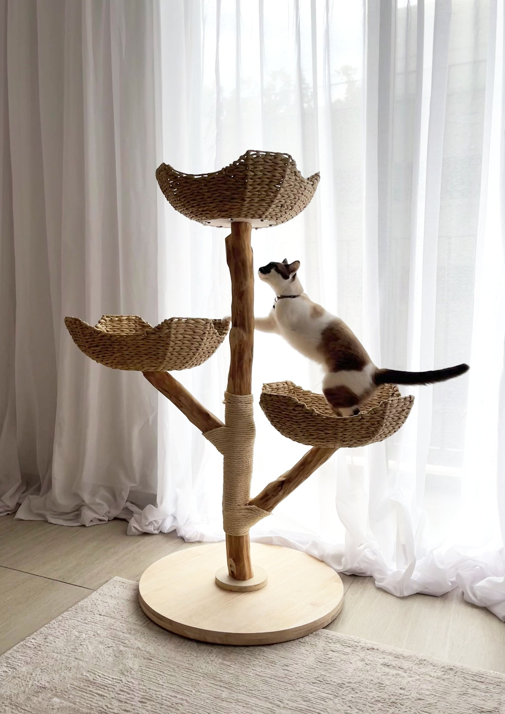 Litchi Cat Tree