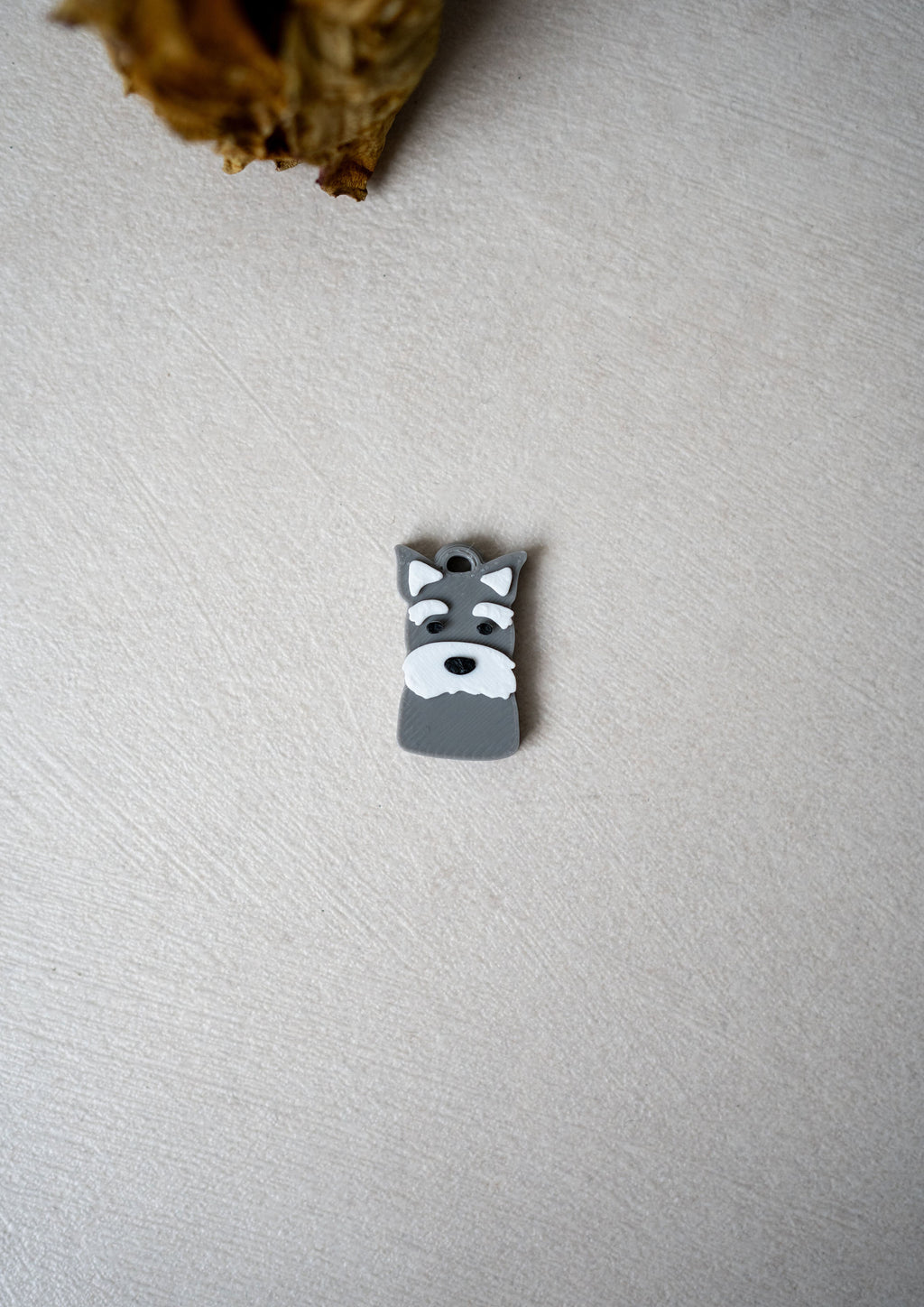 Schnauzer Prosopa Charm