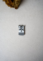 Schnauzer Prosopa Charm