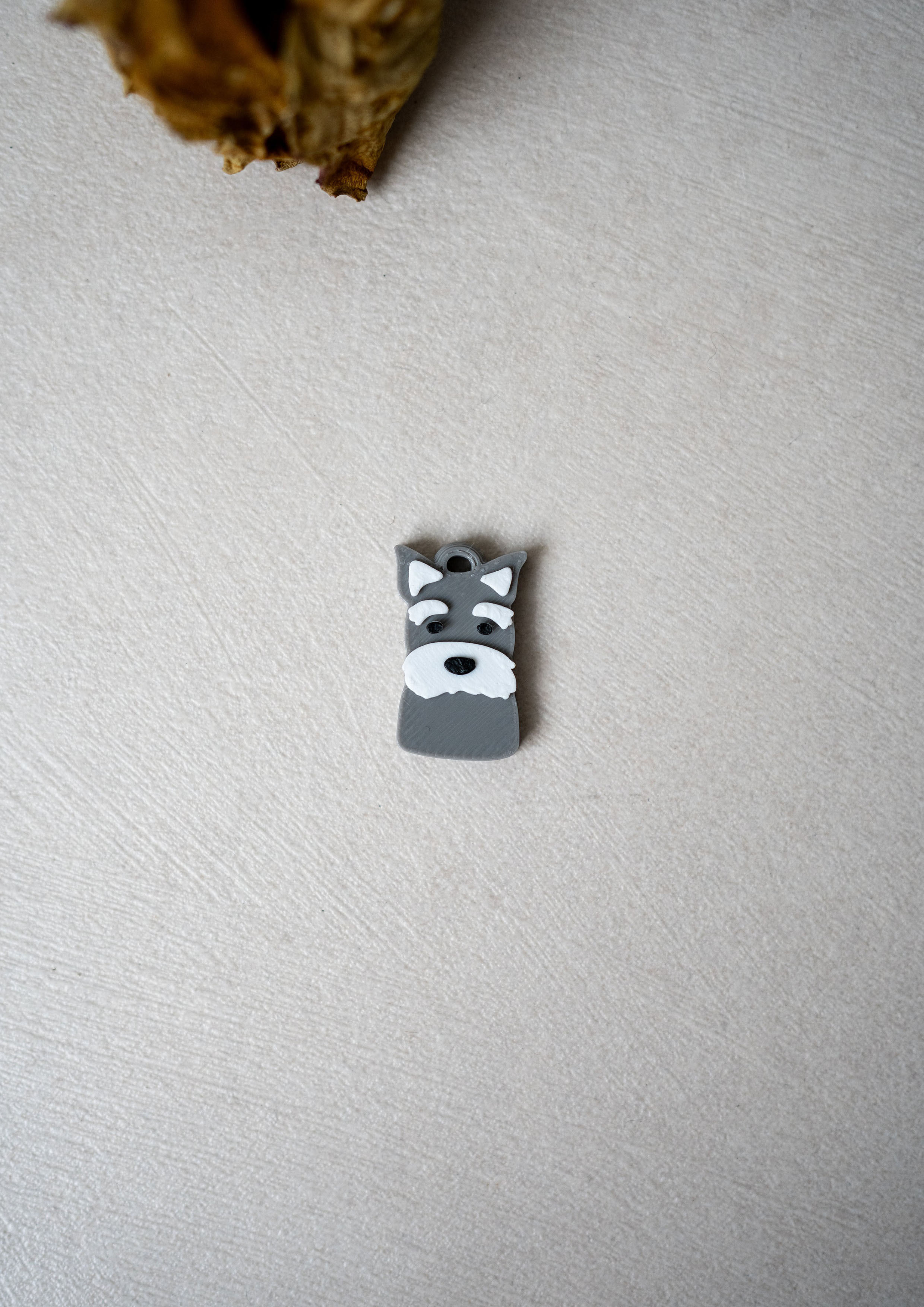 Schnauzer Prosopa Charm
