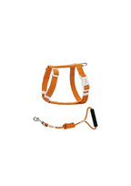 Zooland Harness & Leash Set (Orange)