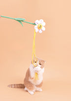 Daisy Cat Teaser with Catnip