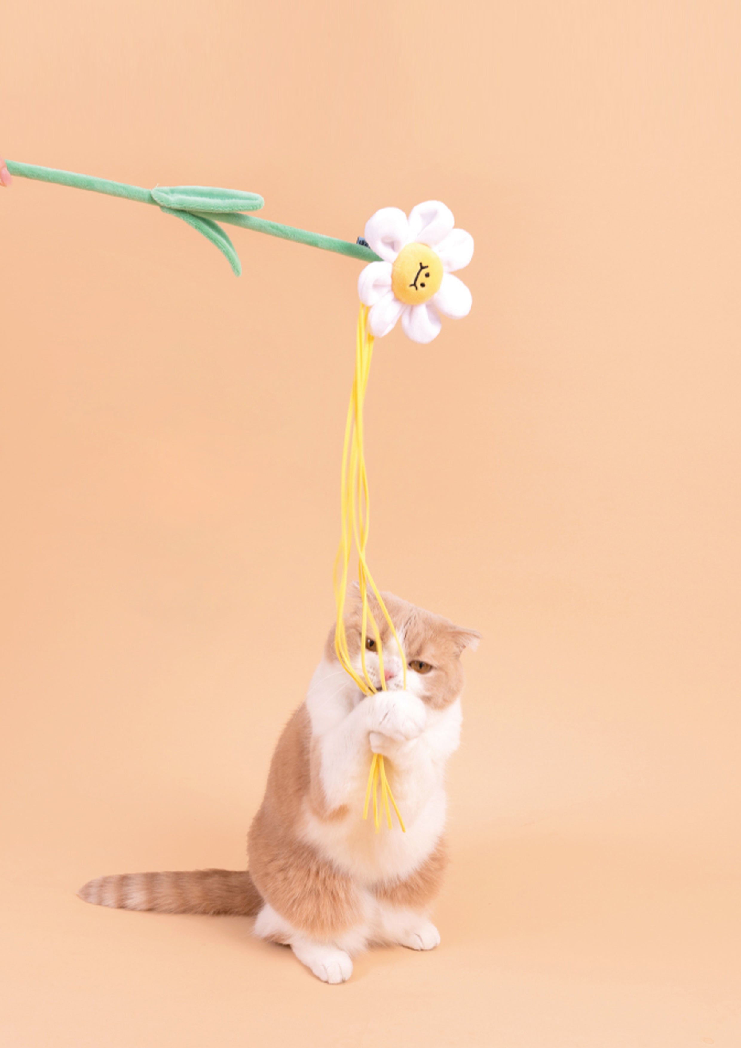 Daisy Cat Teaser with Catnip