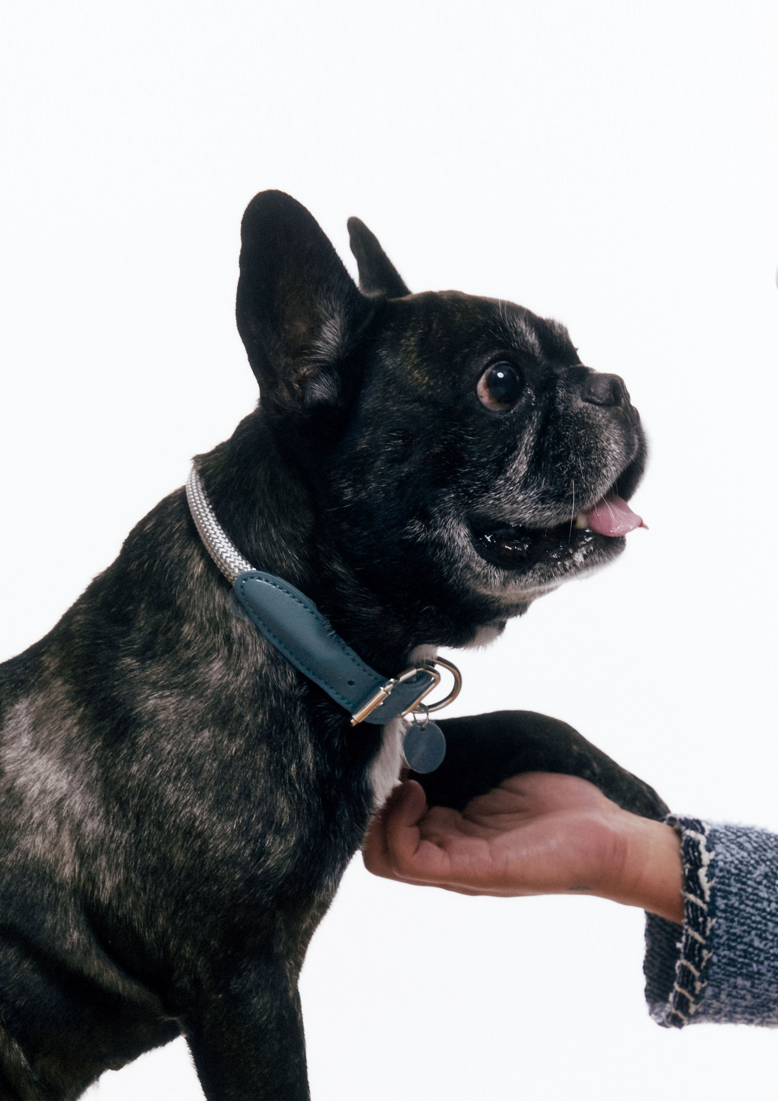 Gotefriend Collar