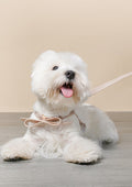 Miranda Waterproof Harness